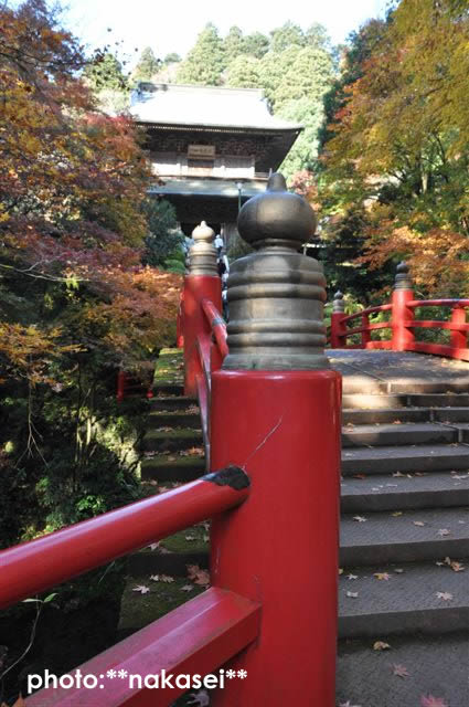 2009 11 15 雲巌寺 栃木県黒羽(2)