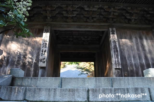 2009 11 15 雲巌寺 栃木県黒羽(3)