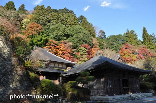 2009 11 15 雲巌寺 栃木県黒羽(4)