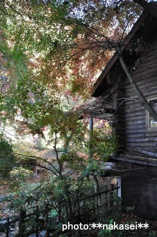 2009 11 15 月見の滝(1)