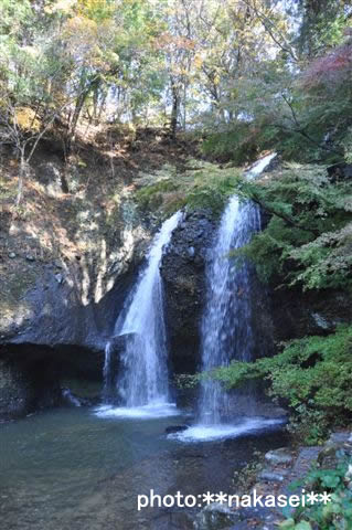 2009 11 15 月見の滝(2)