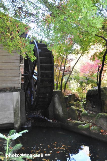 2009 11 15 月見の滝(3)