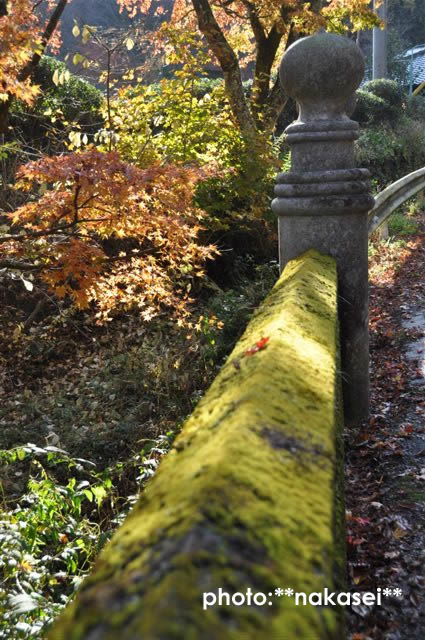 2009 11 15 雲巌寺 栃木県黒羽(7)
