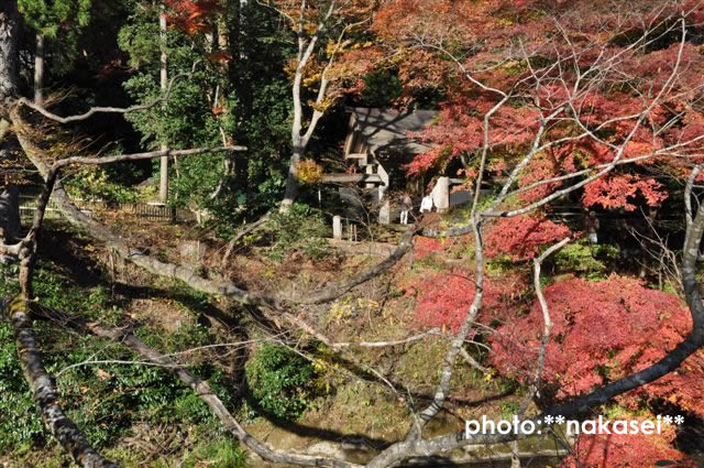 2009 11 15 雲巌寺 栃木県黒羽(9)