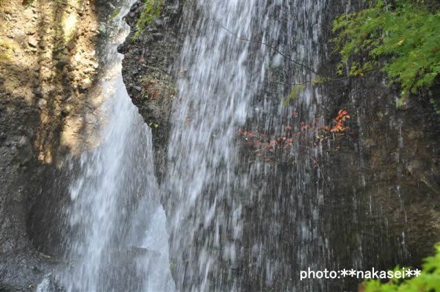 2009 11 15 月見の滝(7)