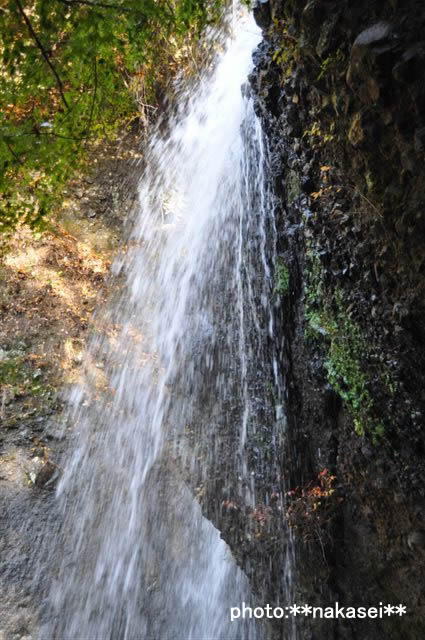 2009 11 15 月見の滝(8)