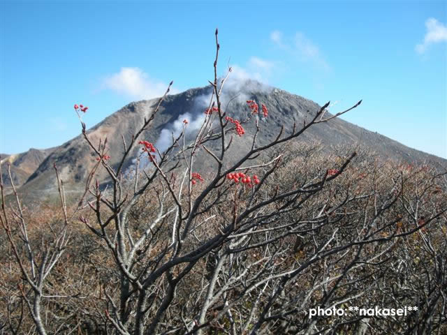 2008 10 13 那須岳紀行(11)