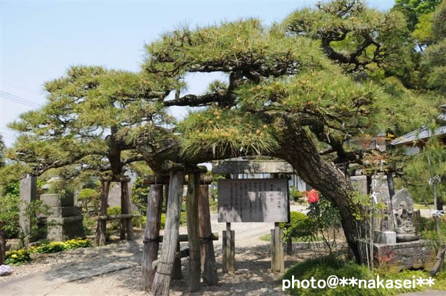 2009/5/2-6 8/11 那須三十三所観音霊場巡り(8)