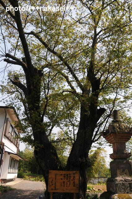 2009/5/2-6 8/11 那須三十三所観音霊場巡り(12)