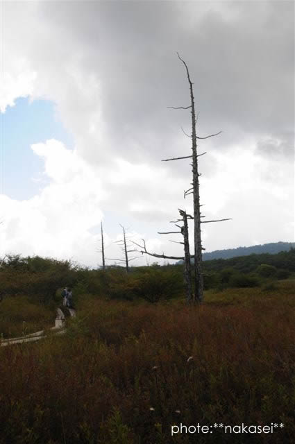 中秋の奥日光～枯れ木も風情～