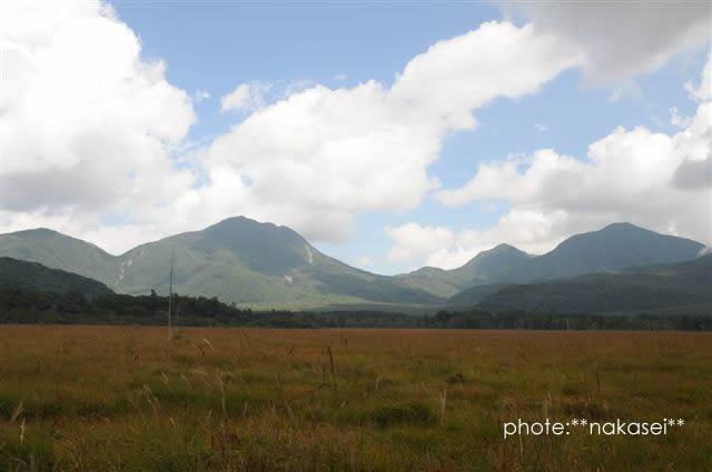 中秋の奥日光～黄金の小田代ケ原と太郎、大真名、小真名山を望む～