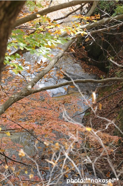 福島県西郷 ≪雪割橋≫（４）