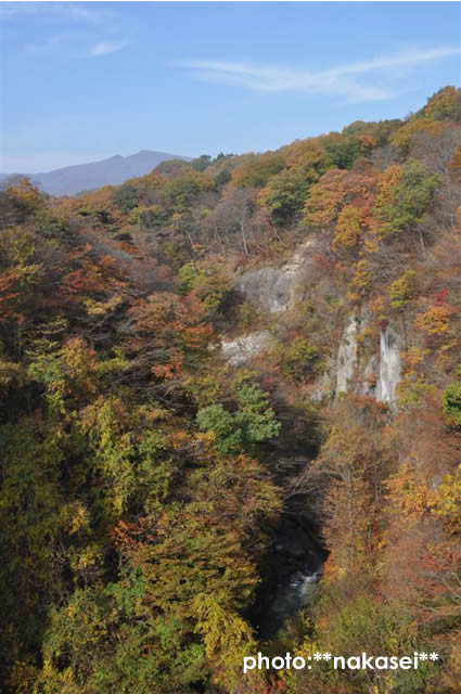 福島県西郷 ≪雪割橋≫（７）