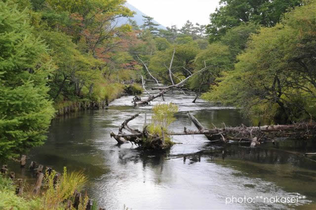 奥日光（１）虹鱒住む湯川