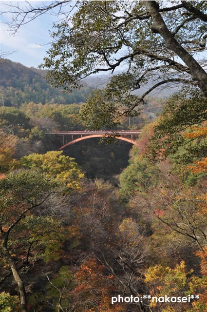 福島県西郷 ≪雪割橋≫（９）