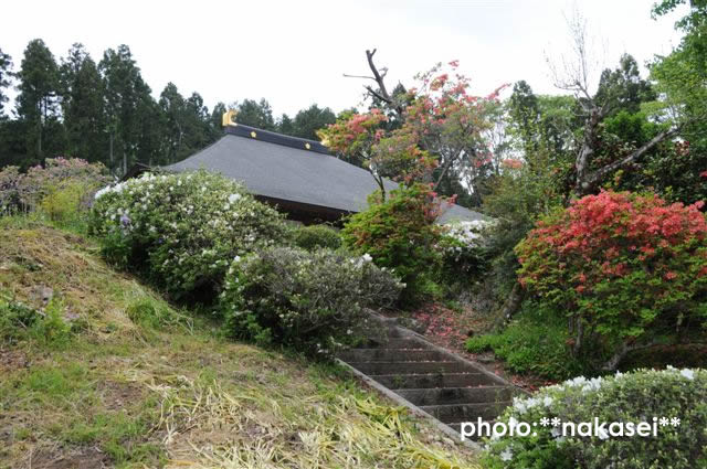 09 5.2-6 8.11 那須三十三所観音霊場巡(23)