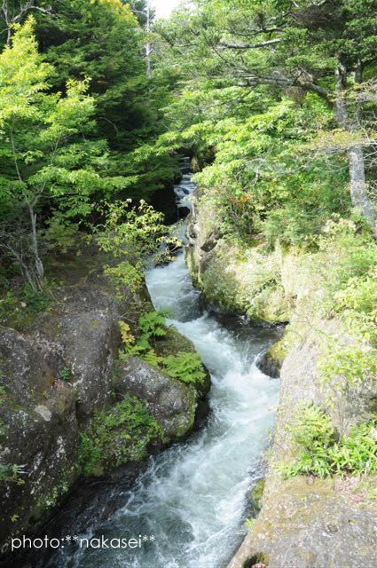 奥日光（３）湯川と竜頭の間峡