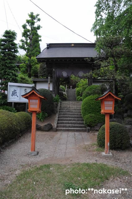 09 5.2-6 8.11 那須三十三所観音霊場巡(26)