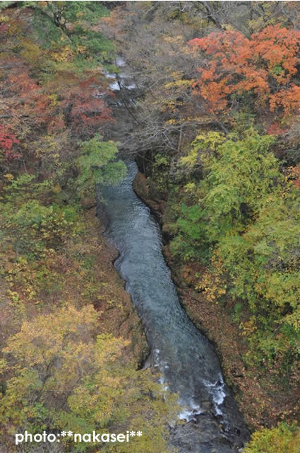 福島県西郷 ≪雪割橋≫（１２）