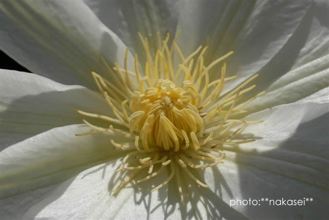 夏の思い出（２）