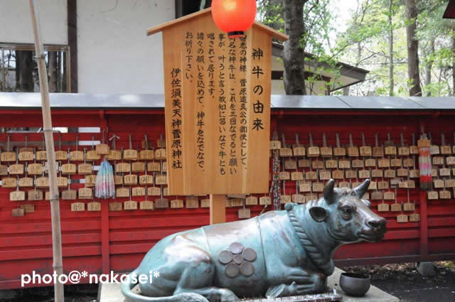  2011 5 4 「伊佐須美神社」1