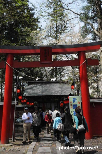  2011 5 4 「伊佐須美神社」2