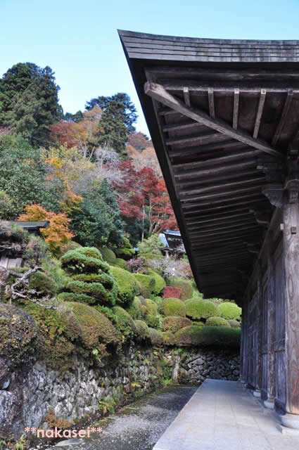 2010年11月 栃木県黒羽市「雲厳寺」紅葉 1