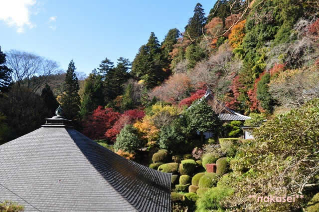 2010年11月 栃木県黒羽市「雲厳寺」紅葉 3