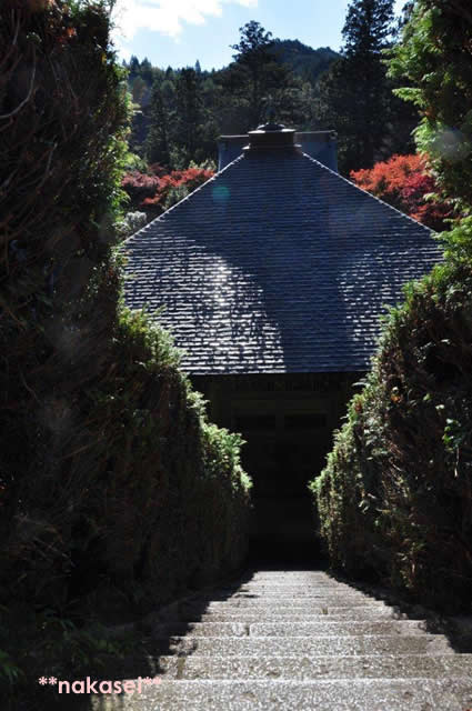 2010年11月 栃木県黒羽市「雲厳寺」紅葉 4