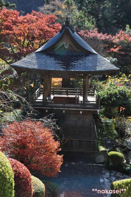 2010年11月 栃木県黒羽市「雲厳寺」紅葉 5