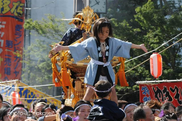 2008 10/12 撮影 鹿沼ぶっつけ秋祭り | shop MIKONIN - 楽天ブログ