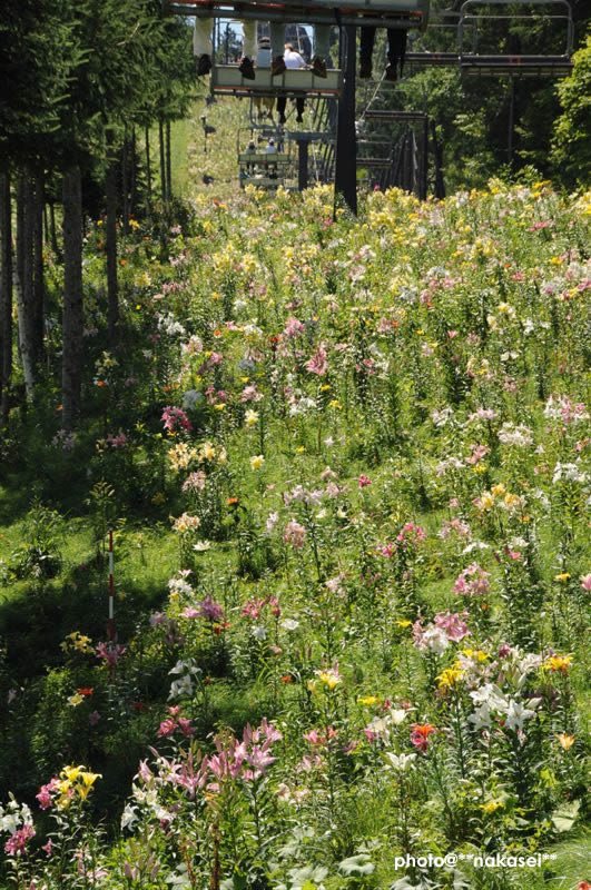 09-8-15　那須塩原市 ハンターマウンテーン(1)