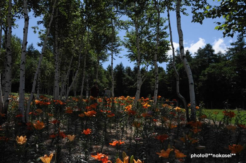 09-8-15　那須塩原市 ハンターマウンテーン(2)
