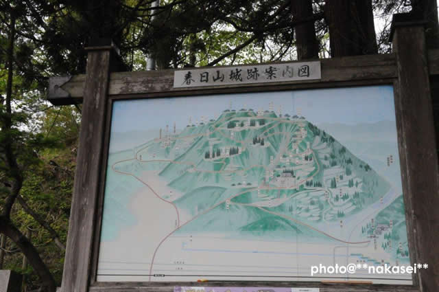2011 5 1 新潟県上越市 「春日山城跡」3