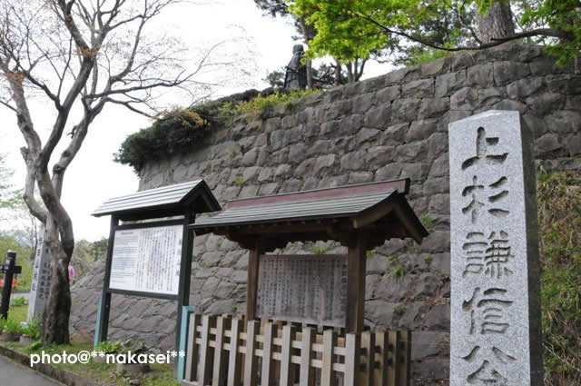 2011 5 1 新潟県上越市 「春日山城跡」4