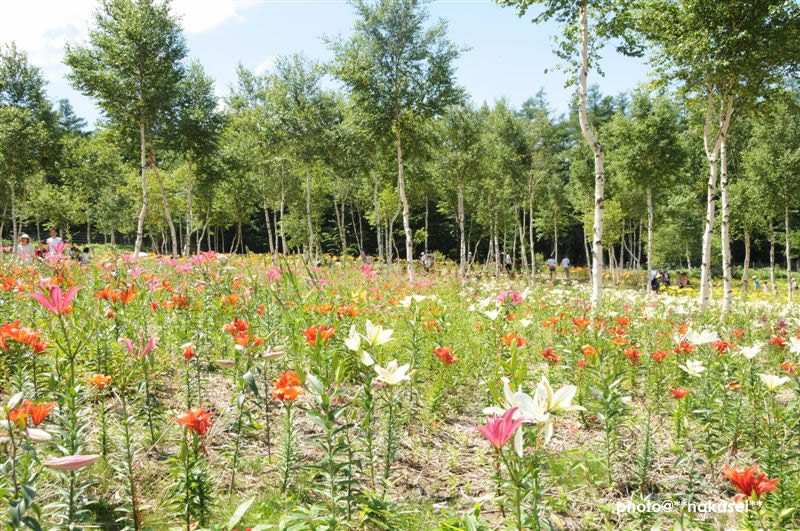 09-8-15　那須塩原市 ハンターマウンテーン(4)