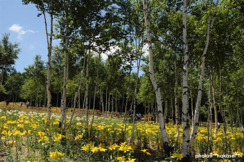 09-8-15　那須塩原市 ハンターマウンテーン(5)