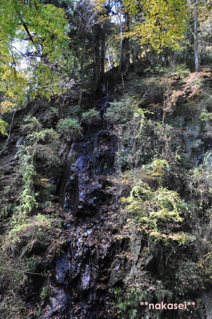 2010年11月 栃木県黒羽市「雲厳寺」紅葉 １2