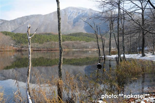 2009 11 23 観音沼と道の駅にて(5)