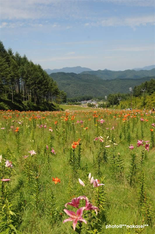 09-8-15　那須塩原市 ハンターマウンテーン(6)