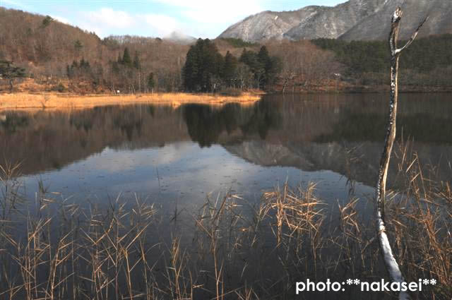 2009 11 23 観音沼と道の駅にて(6)