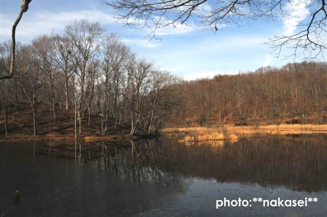 2009 11 23 観音沼と道の駅にて(7)
