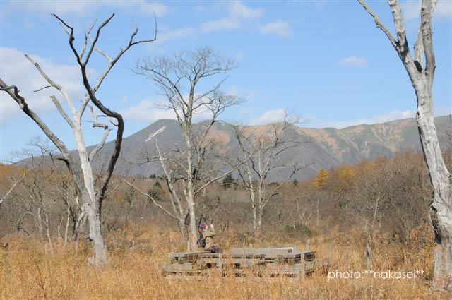 11・2撮影 沼原湿原の眺め(4)