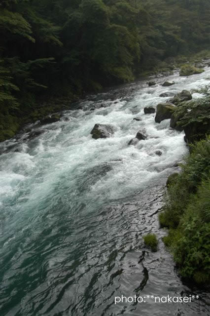 08.8.18撮影 大谷川