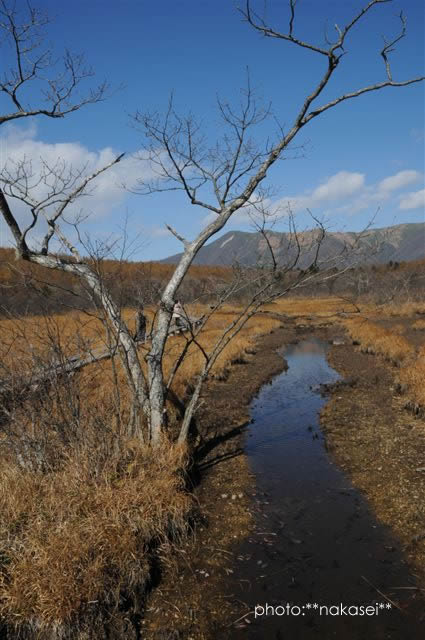 11・2撮影 沼原湿原の眺め(7)