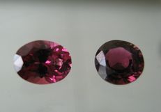 1 garnet and tourmaline (large).jpg