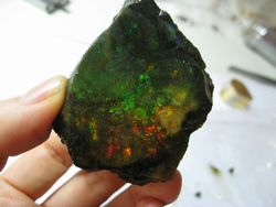 Opal A-2.jpg