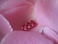 blog rose 3 pink spinel.jpg