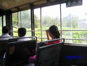 Bus.jpg