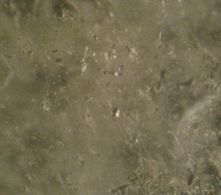 Chrysoberyl Incl 3.jpg